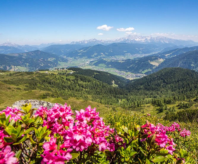 Berglandschaft Flachau © Flachau Tourismus